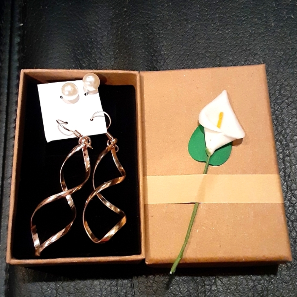 Earrings - must bundle. with a gift box